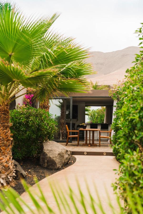 Casa Sua Ξενοδοχείο Famara Εξωτερικό φωτογραφία